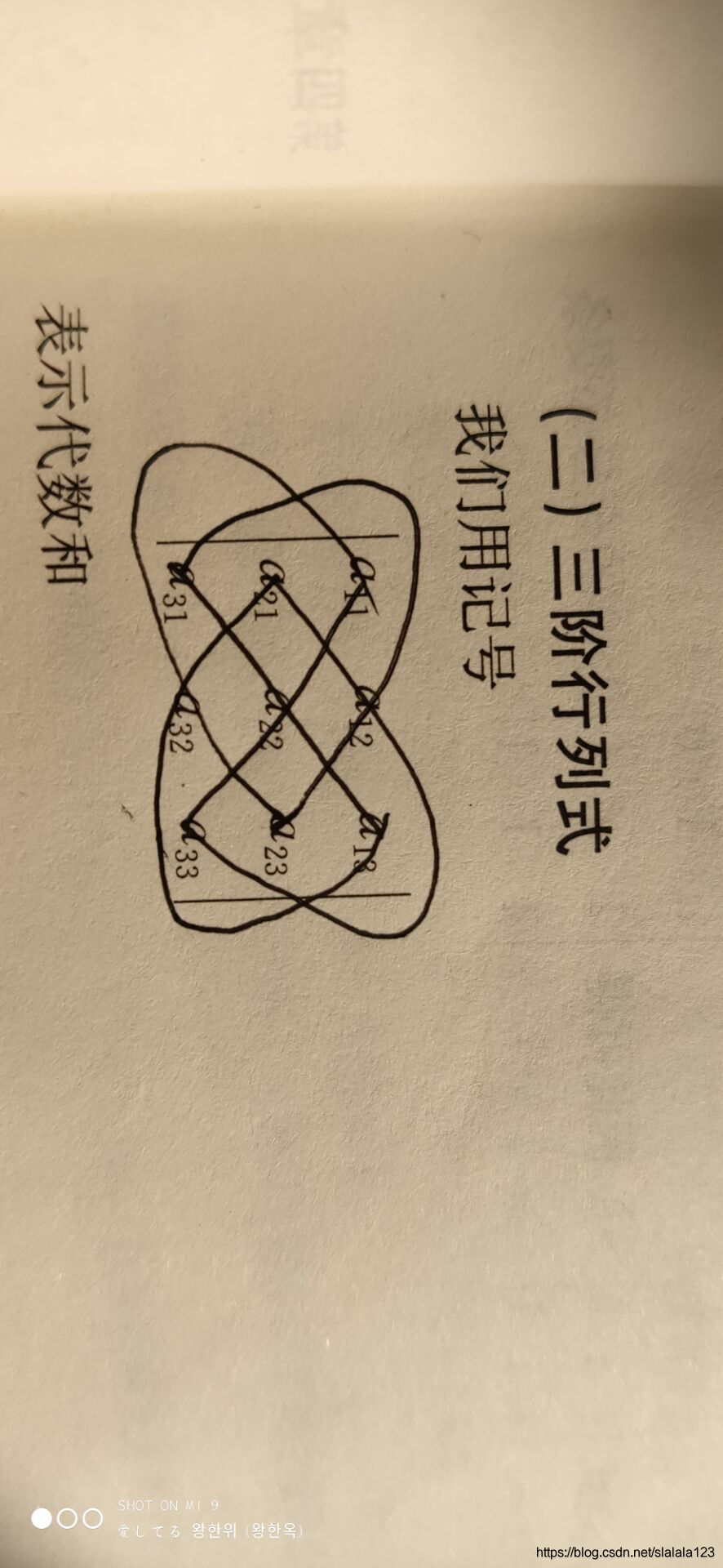 也可以称为“蝴蝶发”